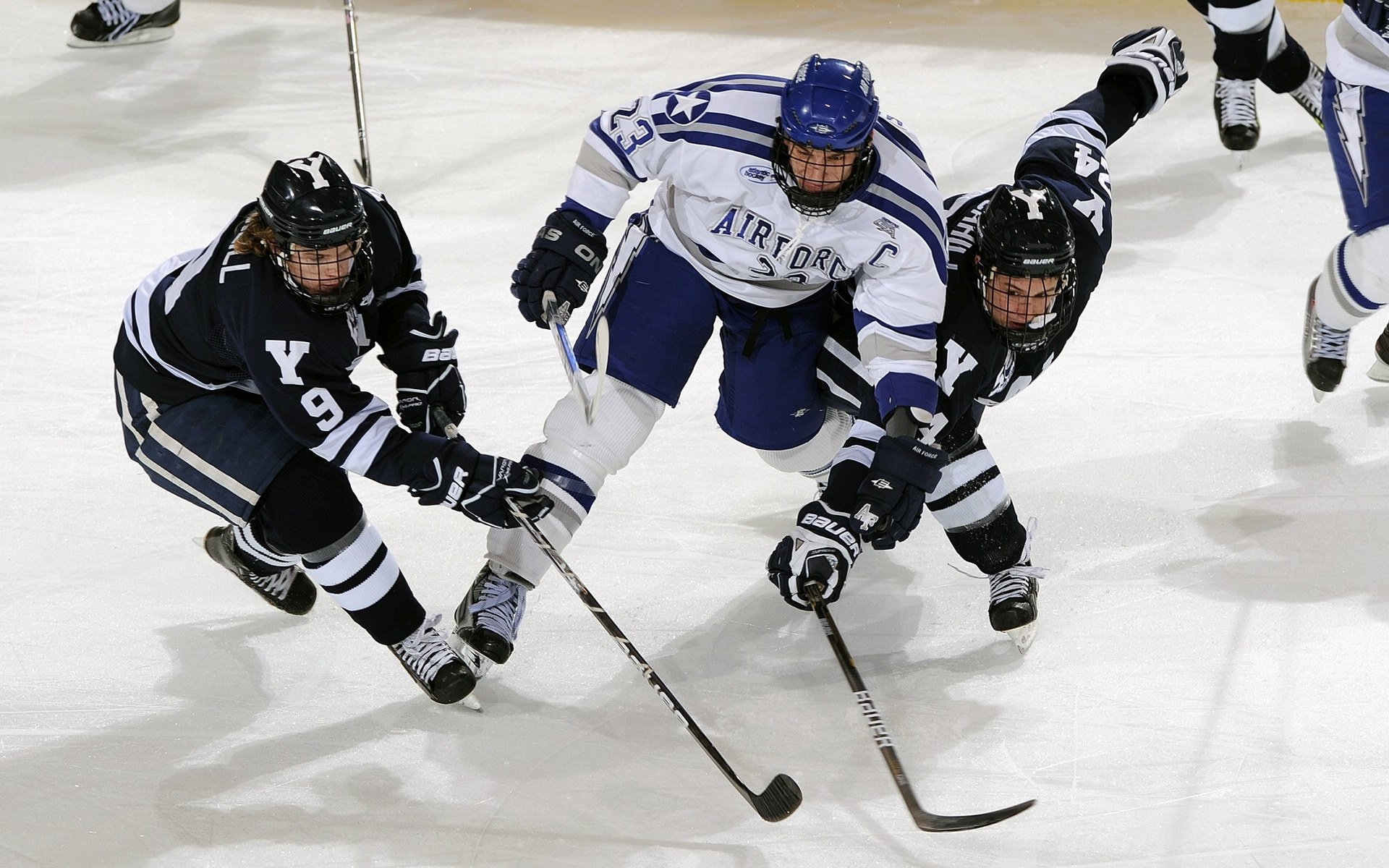 湖人队士气高涨，期限冲击季后赛，湖人队新赛季